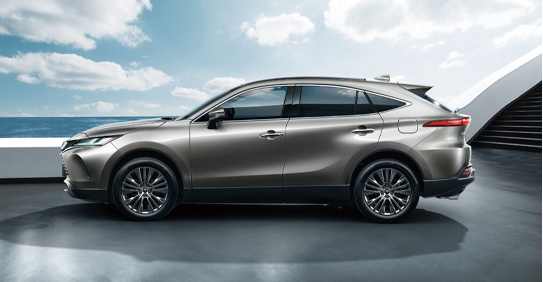 豐田凌放 豐田凌放